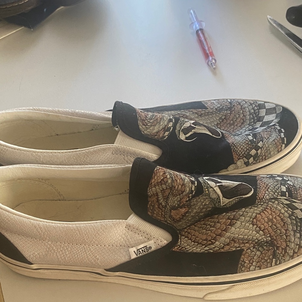 Vans Multicolor Snake Print Slip-Ons